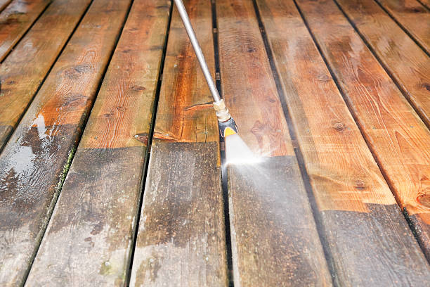 Best Roof Washing  in Royal Palm Estates, FL